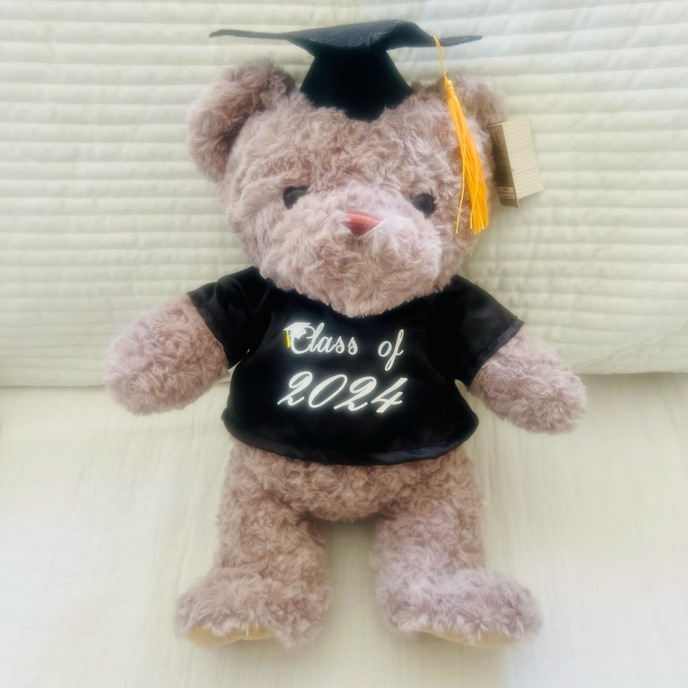 Expressions Plush Graduation Bear in Gray with Black Gown and Gold Tassel